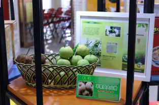 地方特色產(chǎn)品走向全國之路