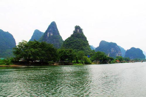 打卡廣西最大農(nóng)莊,吃陽朔網(wǎng)紅啤酒魚