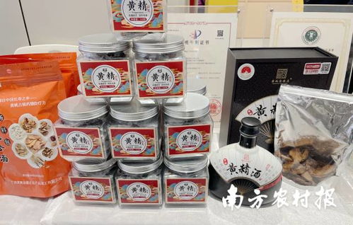 賀州市 桂字號(hào) 農(nóng)特產(chǎn)品在廣州集中亮相