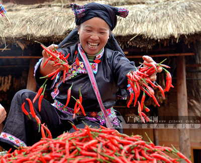 豐收喜悅-廣西新聞網(wǎng)