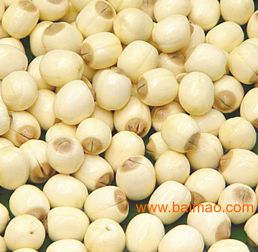 廣西芡實 優(yōu)質(zhì)湖產(chǎn)品的全國供應(yīng)商